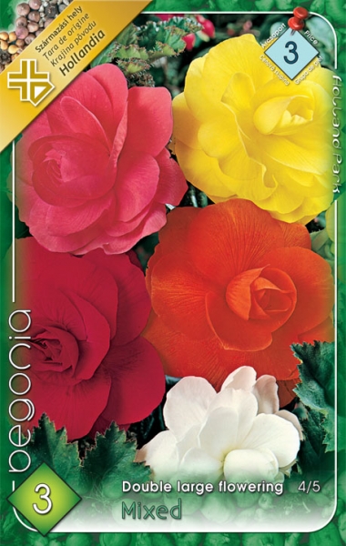 begonia színkeverék